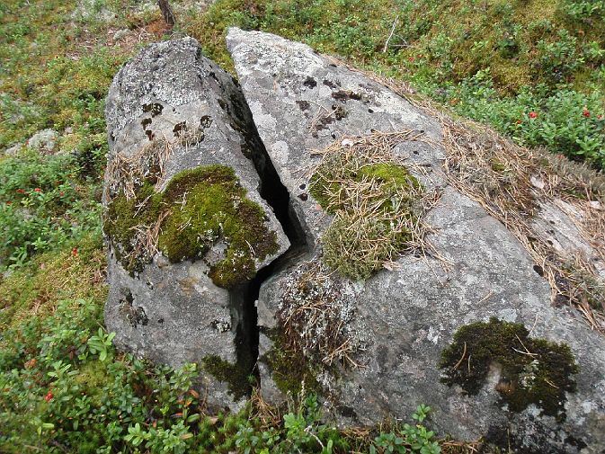 Zorro was here.jpg